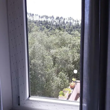 Vendégház Casa Chiocconi *